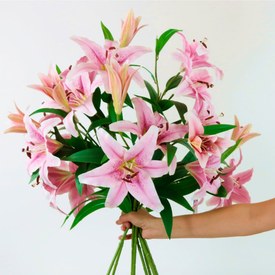 Casa Blanca Lily