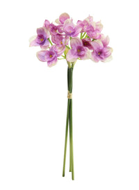 Narcissus Daffodil Bunch (3x Stems)