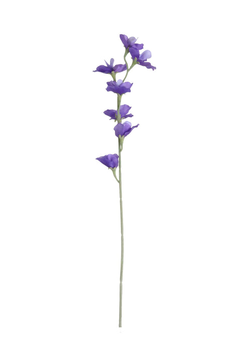 Sweet Pea