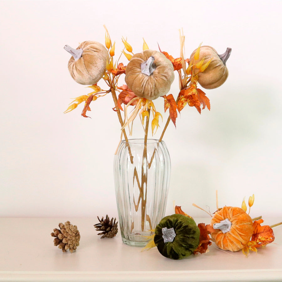 Autumn Wild Velvet Pumpkin (medium)