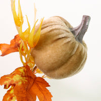 Autumn Wild Velvet Pumpkin (medium)