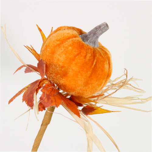 Autumn Wild Velvet Pumpkin (medium)