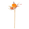 Autumn Wild Velvet Pumpkin (small)