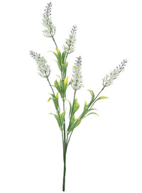 Lavender Spray
