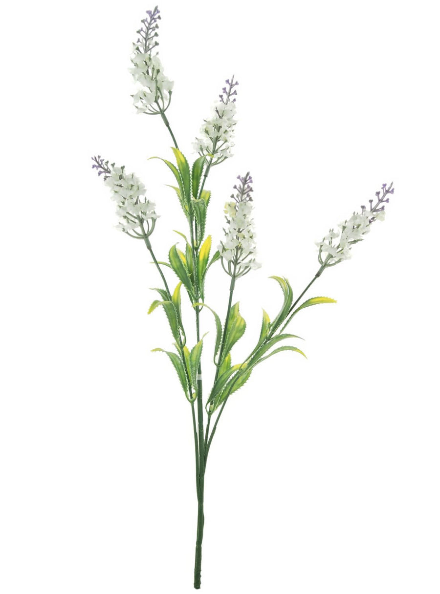 Lavender Spray
