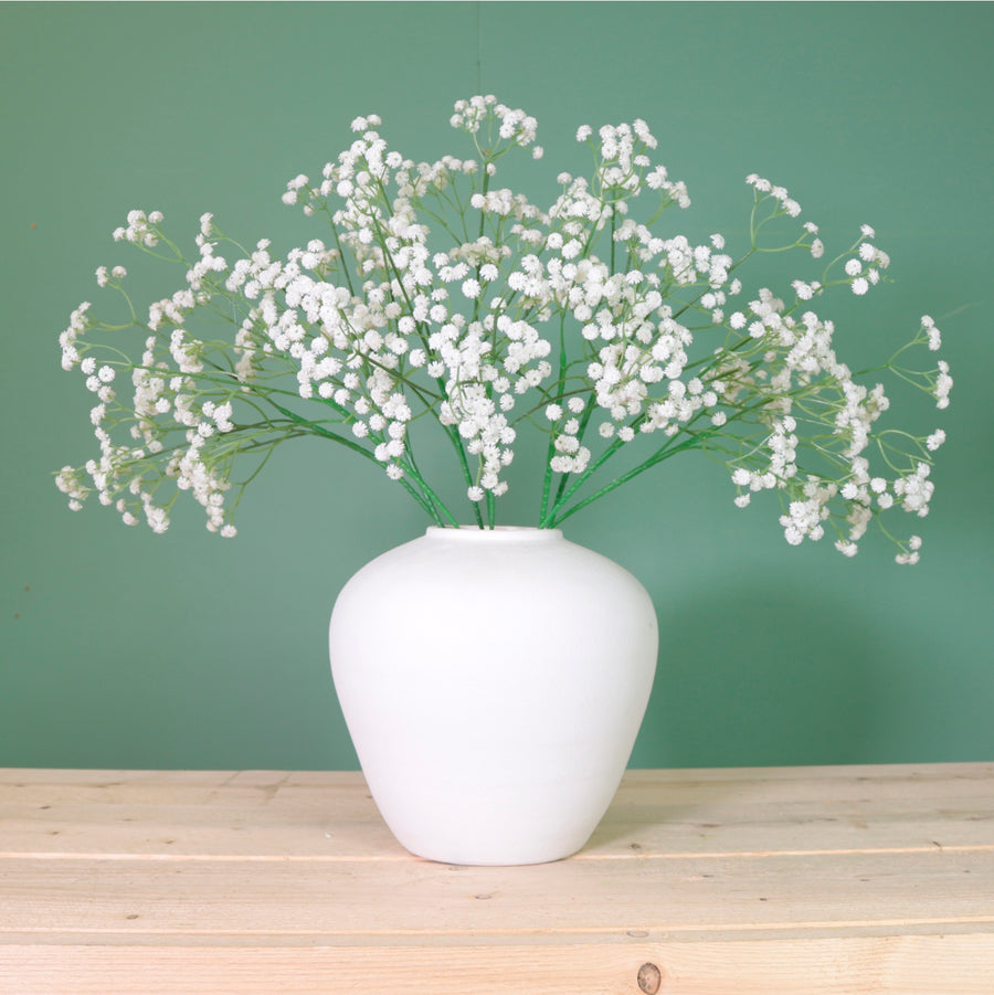 Fluffy Gypsophilia Spray