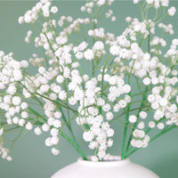 Fluffy Gypsophilia Spray