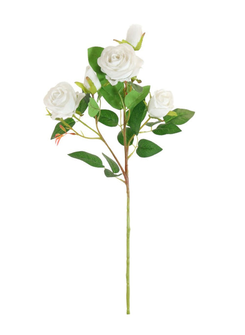 Issy Rose Spray