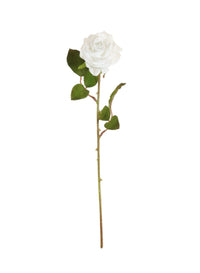Amira Rose Stem
