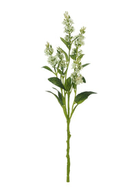 Wild Meadow Spray