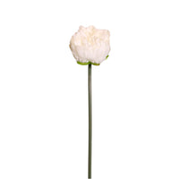Peony Short Stem