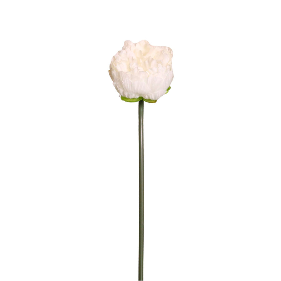 Peony Short Stem