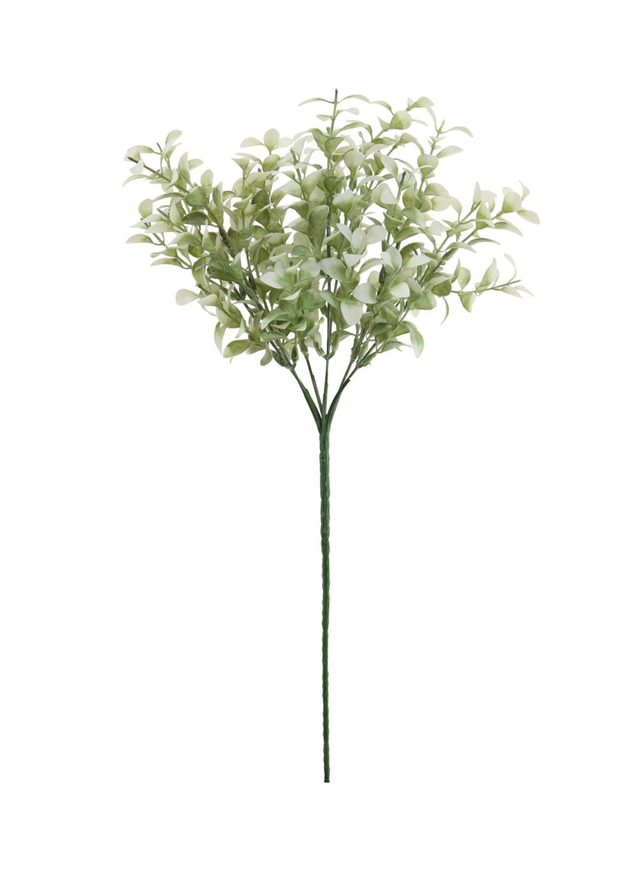 Mini Hedge Bunch