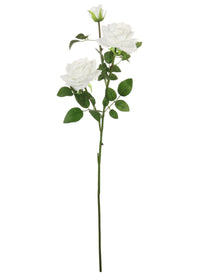 Open Rose Spray