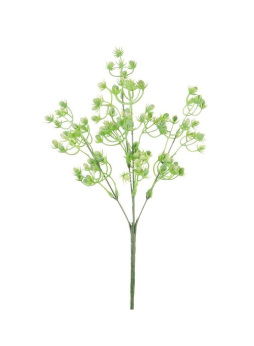 Spikey Bud (long Stem)
