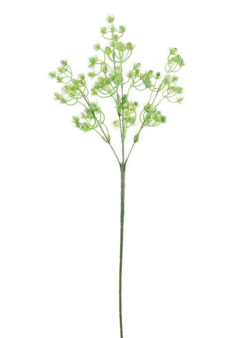Spikey Bud (long Stem)