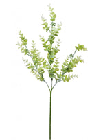 Seeded Eucalyptus Stem