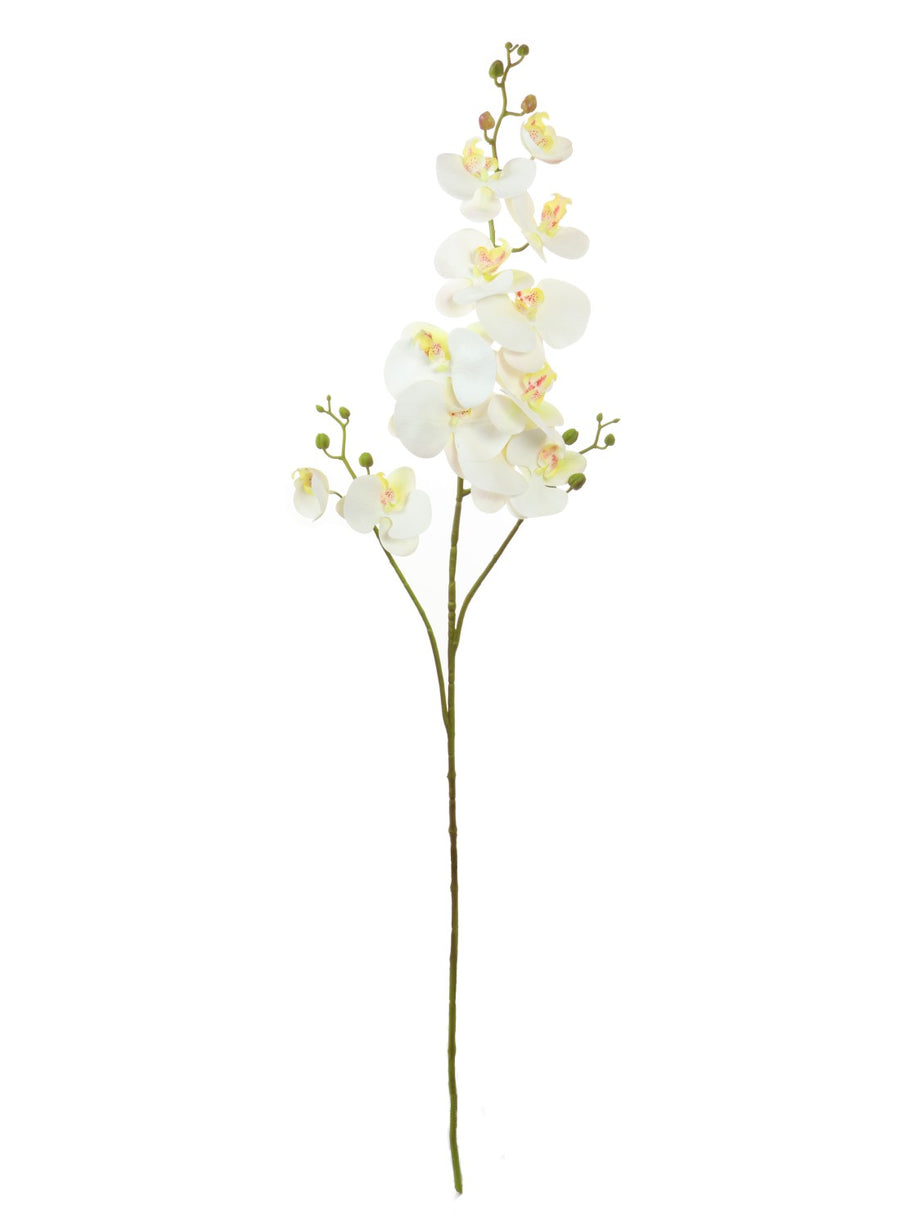 12 Head Orchid Stem White