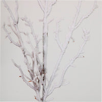 Xmas Snowy Twig Spray