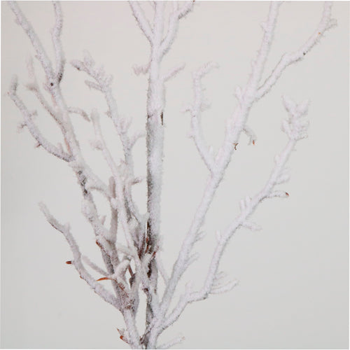 Xmas Snowy Twig Spray