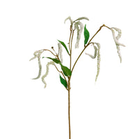 Catkin Spray