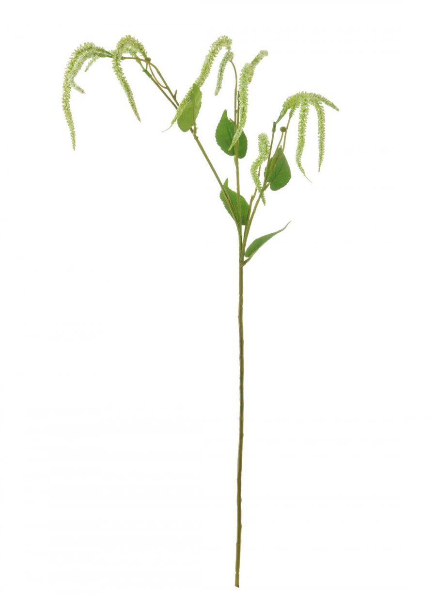Catkin Spray