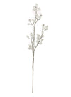 Xmas Hawthorn Berry Stem