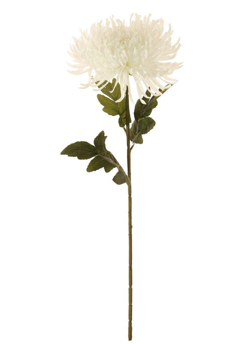 Fuji Mum