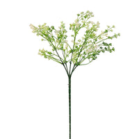 Felicity Bud (long Stem)