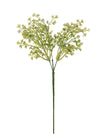 Felicity Bud (long Stem)