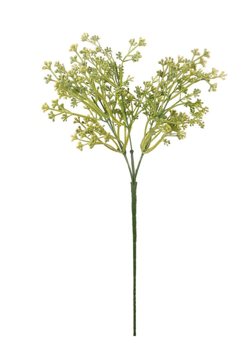 Felicity Bud (long Stem)
