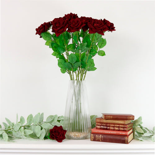 Velvet Open Rose