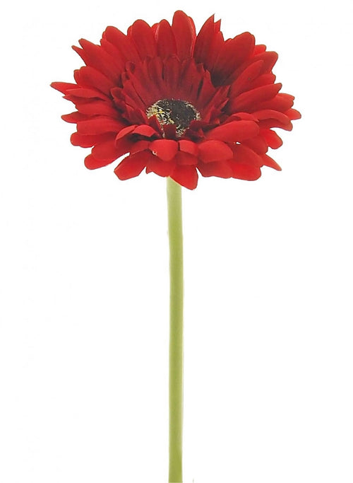 Small Gerbera Stem