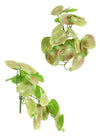 Printed Mirror Leaf Bunch