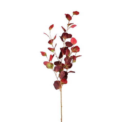 Silver Dollar Euc. Spray (large)