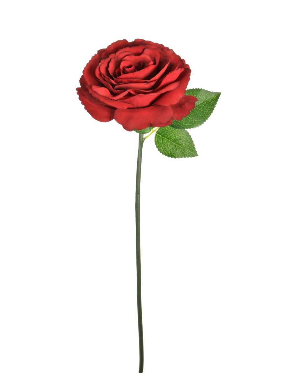 48 Rd Roses Short Stem Tudor Rose (Short Stem) - Lotus Imports Limited – Lotus Imports Ltd