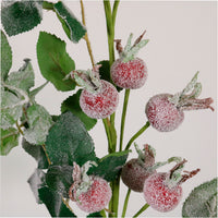 Winter Rosehip Spray