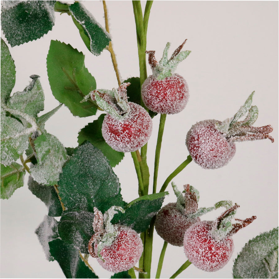 Winter Rosehip Spray