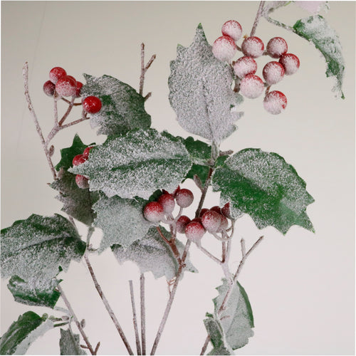 Xmas Snowy Holly Spray