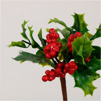 Xmas Pic No:77