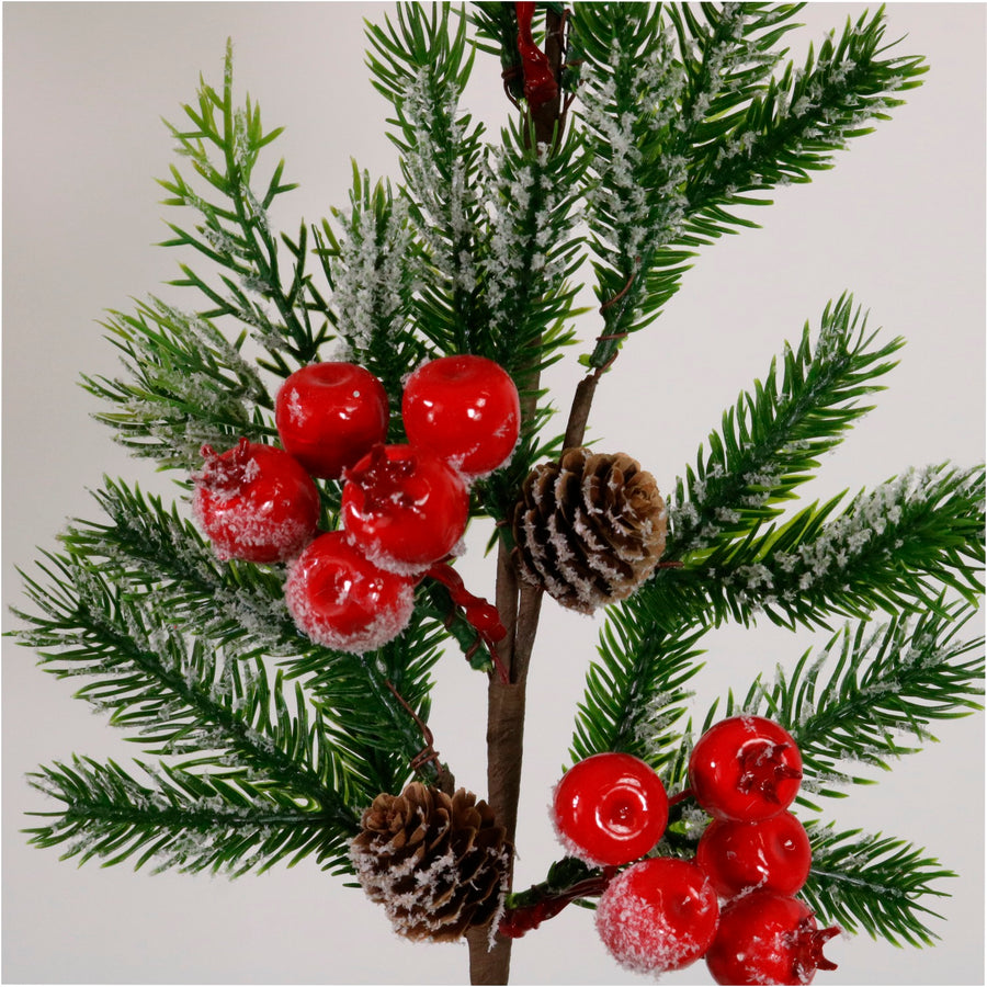 Xmas Pic No:80
