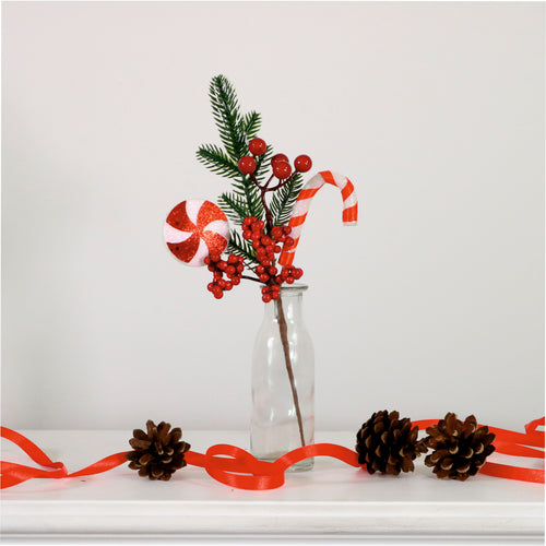 Xmas Pic No:53