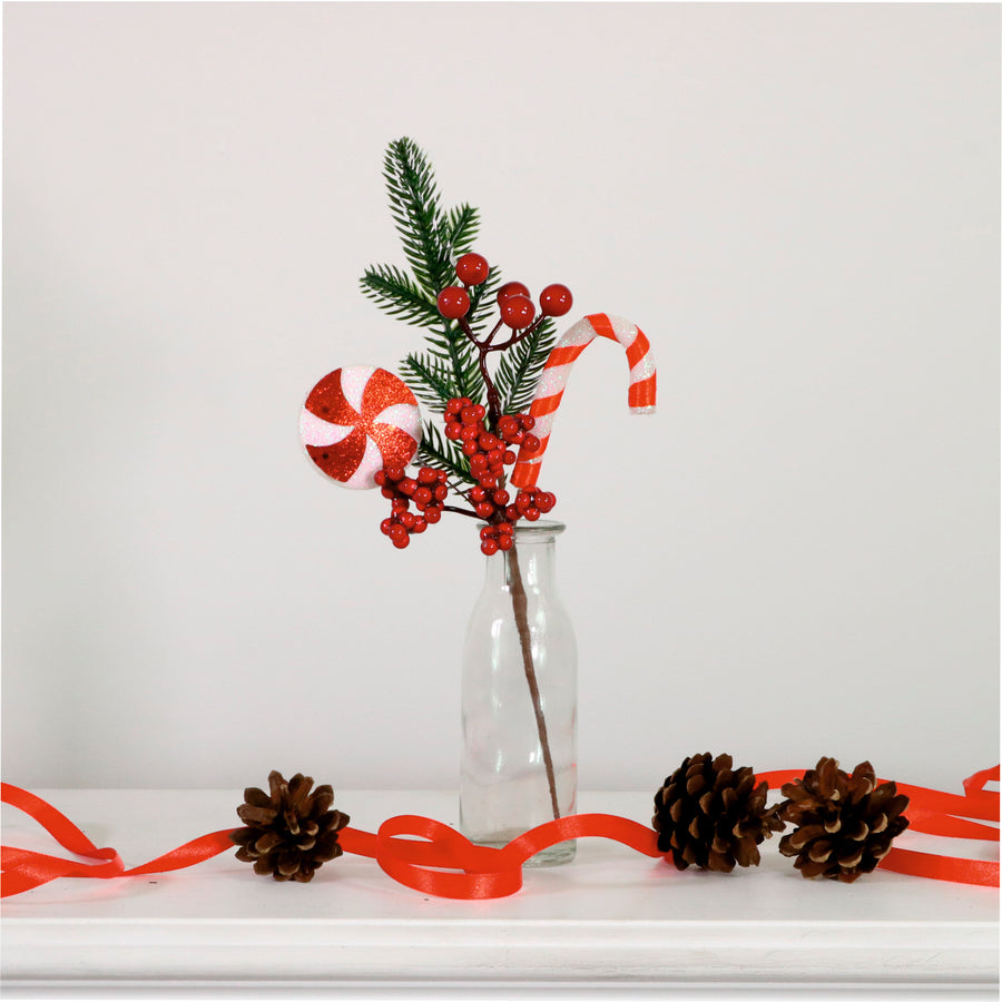 Xmas Pic No:53