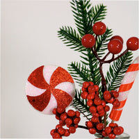 Xmas Pic No:53