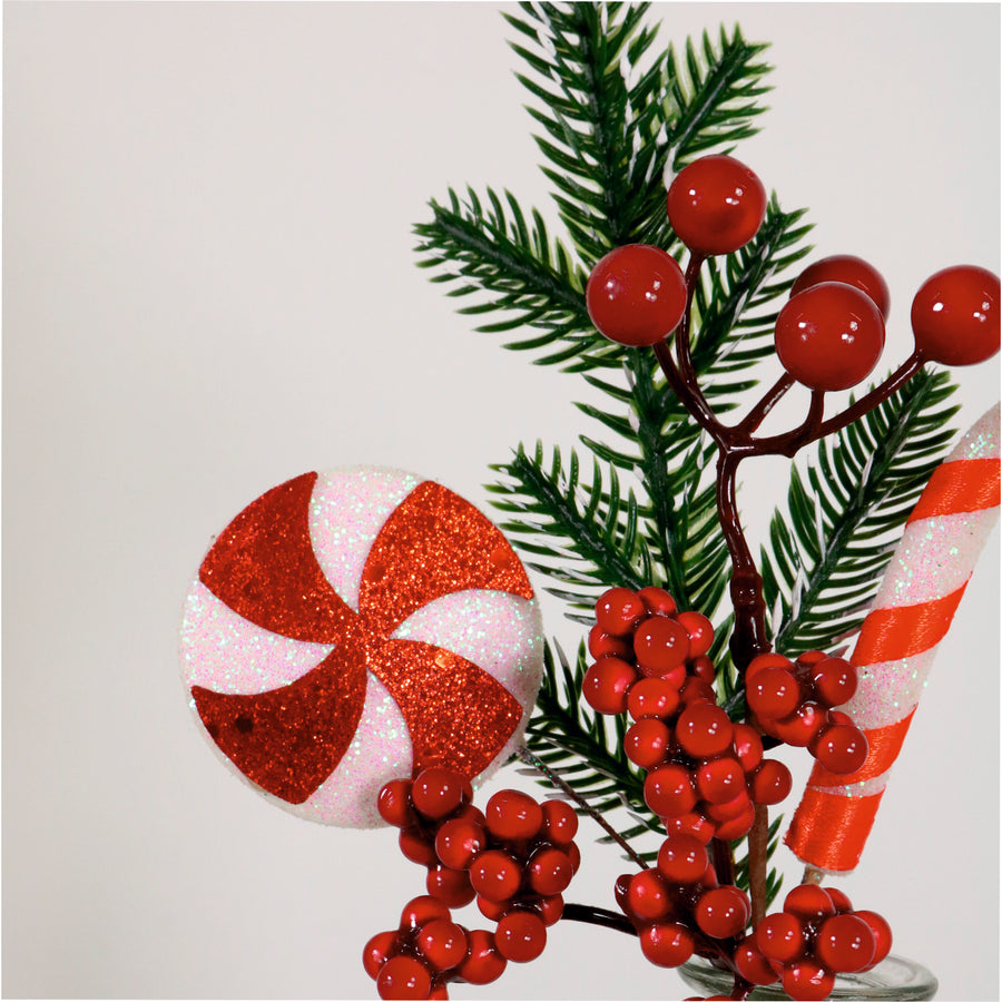 Xmas Pic No:53