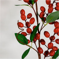 Xmas Pic No:54