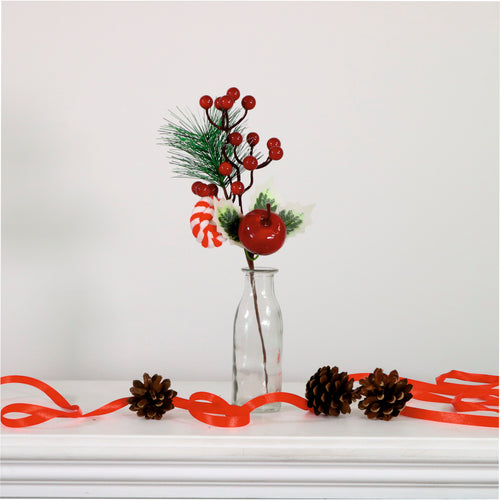 Xmas Pic No:55