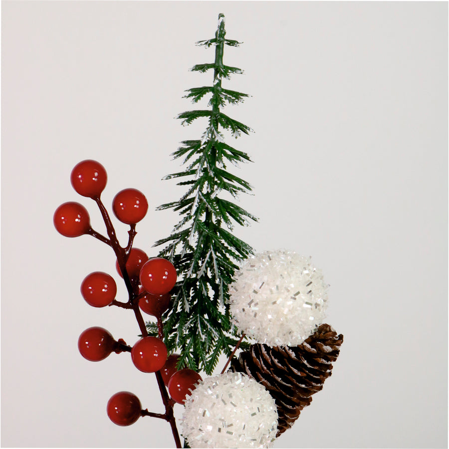 Xmas Pic No:56