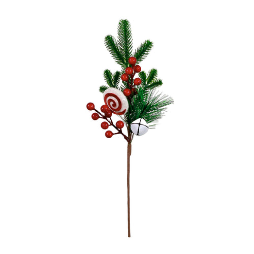 Xmas Pic No:57