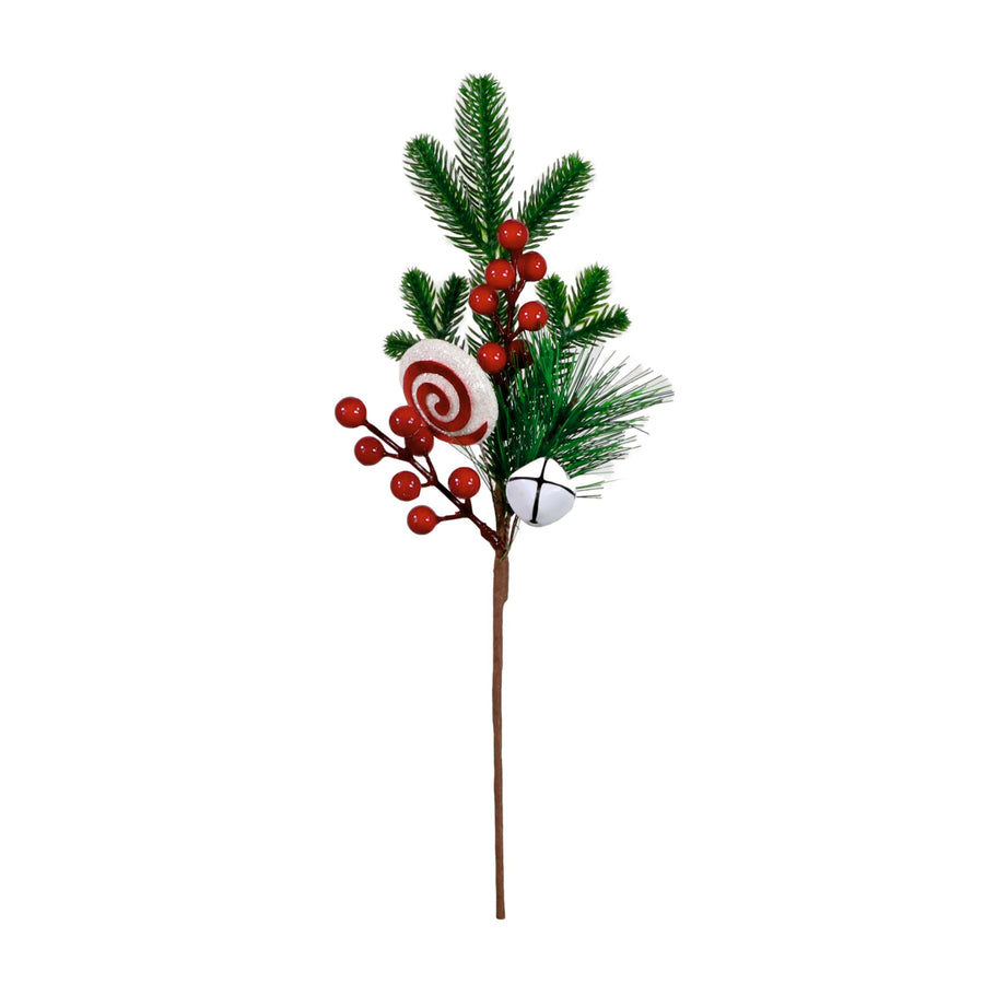 Xmas Pic No:57